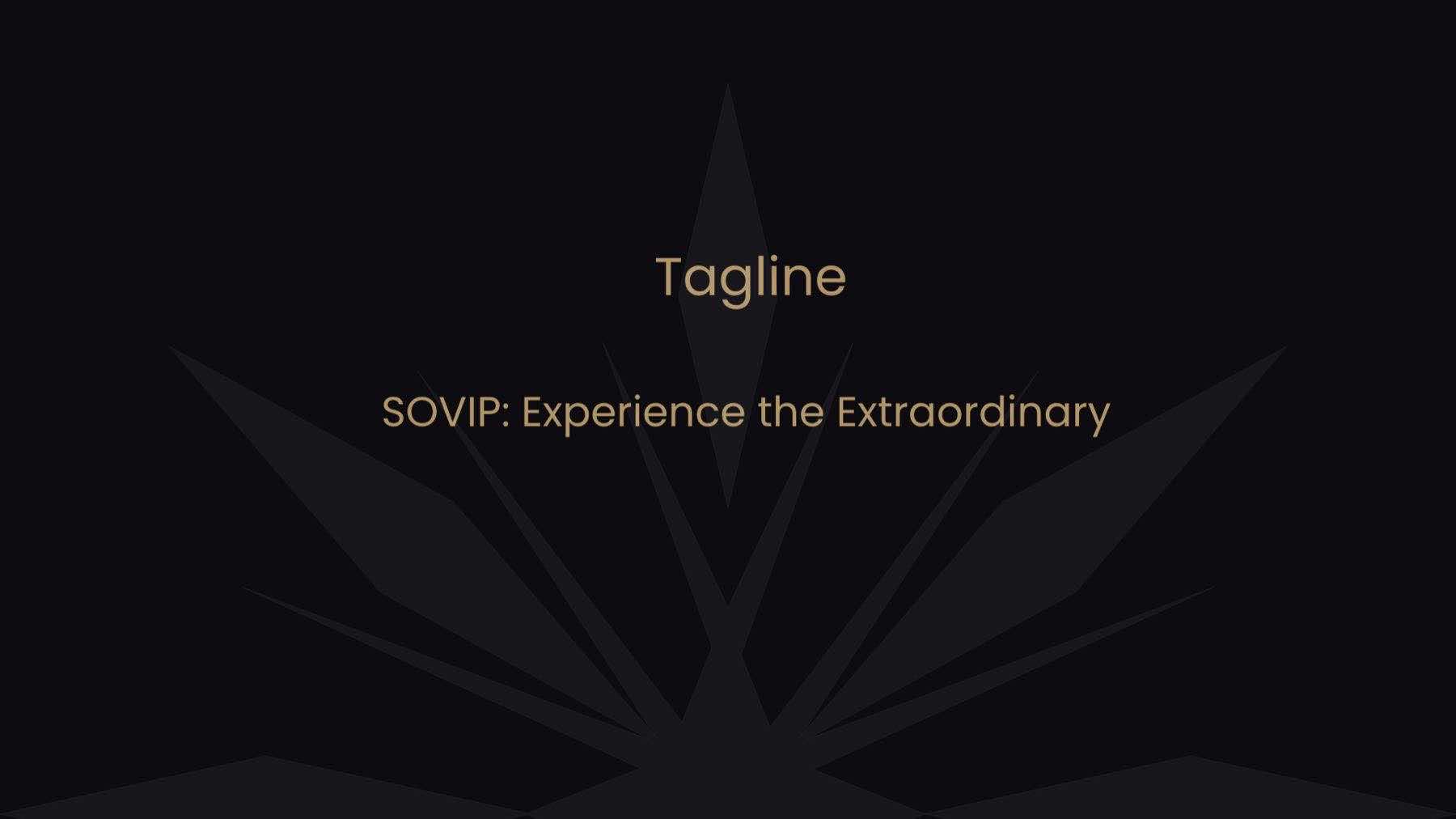 SOVIP App Visual System — 9